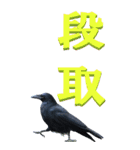 漢字二文字(仕事用)をカラスからーBIG（個別スタンプ：12）