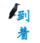 漢字二文字(仕事用)をカラスからーBIG（個別スタンプ：24）