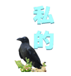 漢字二文字(仕事用)をカラスからーBIG（個別スタンプ：29）