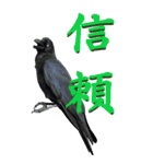 漢字二文字(仕事用)をカラスからーBIG（個別スタンプ：36）