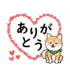 柴犬の見やすい文字スタンプ（個別スタンプ：2）