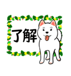 柴犬の見やすい文字スタンプ（個別スタンプ：6）