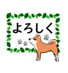 柴犬の見やすい文字スタンプ（個別スタンプ：9）