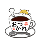 柴犬の見やすい文字スタンプ（個別スタンプ：12）