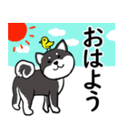 柴犬の見やすい文字スタンプ（個別スタンプ：13）