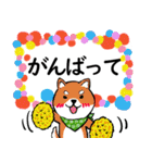 柴犬の見やすい文字スタンプ（個別スタンプ：15）