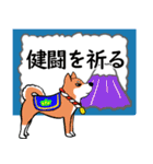 柴犬の見やすい文字スタンプ（個別スタンプ：16）