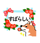 柴犬の見やすい文字スタンプ（個別スタンプ：17）