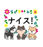 柴犬の見やすい文字スタンプ（個別スタンプ：19）