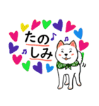 柴犬の見やすい文字スタンプ（個別スタンプ：25）