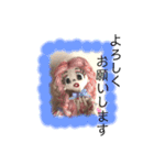 ラブリー三姉妹②（個別スタンプ：7）
