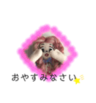 ラブリー三姉妹②（個別スタンプ：22）