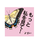 虫ことば（個別スタンプ：1）