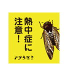 虫ことば（個別スタンプ：2）