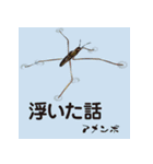 虫ことば（個別スタンプ：3）