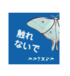 虫ことば（個別スタンプ：5）