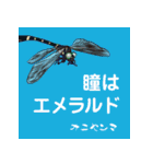 虫ことば（個別スタンプ：6）