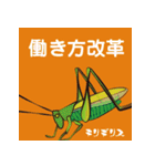 虫ことば（個別スタンプ：13）