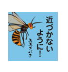 虫ことば（個別スタンプ：19）