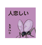 虫ことば（個別スタンプ：20）