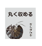 虫ことば（個別スタンプ：22）