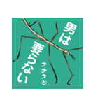 虫ことば（個別スタンプ：24）