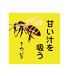 虫ことば（個別スタンプ：30）