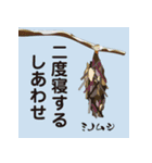 虫ことば（個別スタンプ：31）