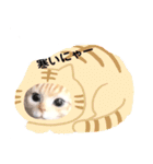 日本猫の会話（個別スタンプ：3）