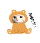 日本猫の会話（個別スタンプ：6）
