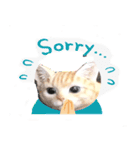 日本猫の会話（個別スタンプ：9）