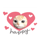 日本猫の会話（個別スタンプ：10）