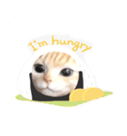 日本猫の会話（個別スタンプ：11）