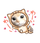 日本猫の会話（個別スタンプ：16）