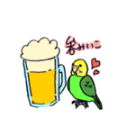 落書きインコず（個別スタンプ：12）