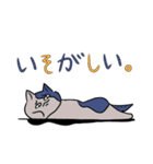 ものぐさねこ（個別スタンプ：5）