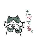 ものぐさねこ（個別スタンプ：11）