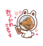犬の御挨拶（個別スタンプ：5）