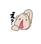 へなくま（個別スタンプ：12）