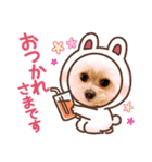 【シュシュ看板犬スタンプ】ムサシ（個別スタンプ：2）