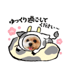 【シュシュ看板犬スタンプ】ムサシ（個別スタンプ：5）