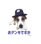 ゲンキなゲンキ（個別スタンプ：1）