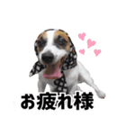 ゲンキなゲンキ（個別スタンプ：3）