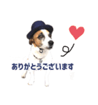 ゲンキなゲンキ（個別スタンプ：4）