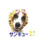 ゲンキなゲンキ（個別スタンプ：5）