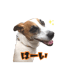 ゲンキなゲンキ（個別スタンプ：6）