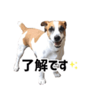ゲンキなゲンキ（個別スタンプ：7）