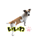 ゲンキなゲンキ（個別スタンプ：8）
