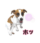 ゲンキなゲンキ（個別スタンプ：14）