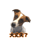 ゲンキなゲンキ（個別スタンプ：15）